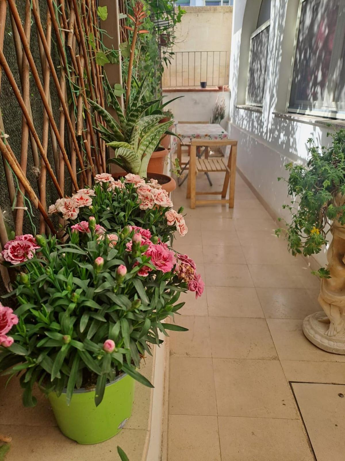 Esplora Sassi Bed & Breakfast Matera Exterior photo